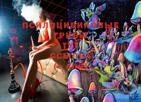 дмт Надым