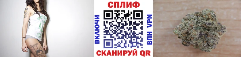 Каннабис OG Kush  где купить   Симферополь 